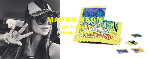 apvp Белокуриха