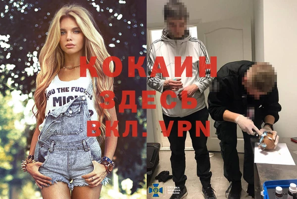apvp Белокуриха