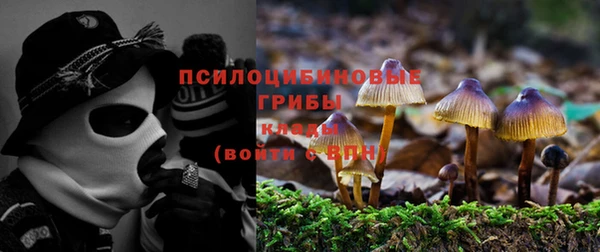 apvp Белокуриха